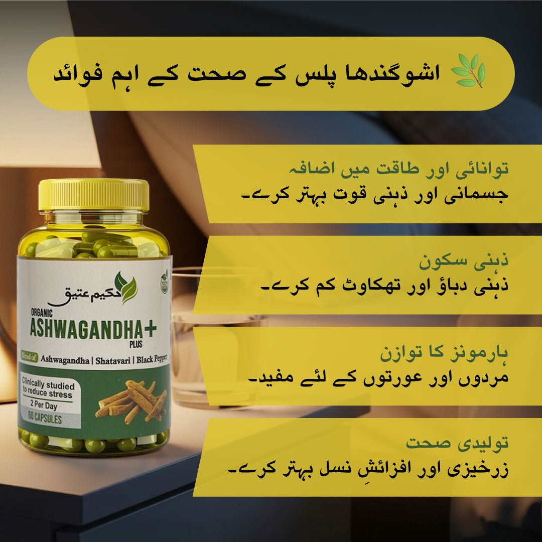 Pack Of 3 - Ashwagandha+ Plus