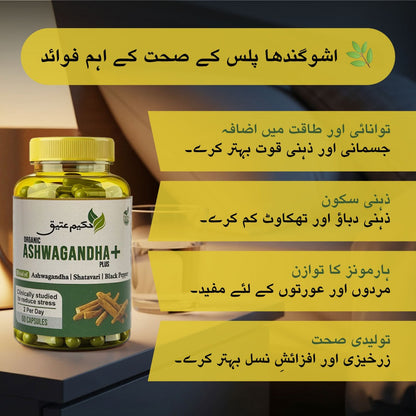 Pack Of 3 - Ashwagandha+ Plus