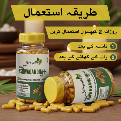 Pack Of 3 - Ashwagandha+ Plus
